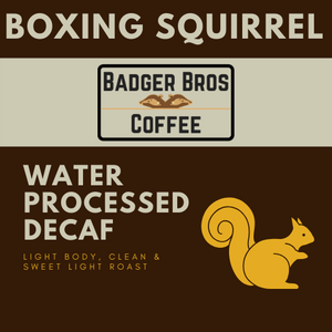 Boxing Squirrel RS Water Decaf